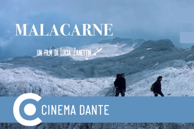 Malacarne