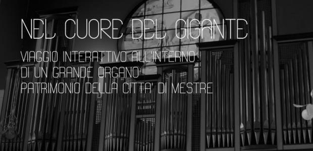 grafica grafica