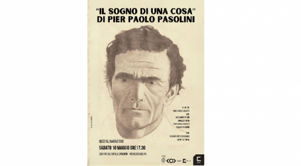 grafica grafica