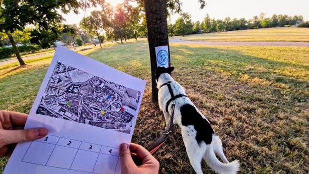 A sinistra due mani reggono una mappa, a destra un cane annusa la base di un albero