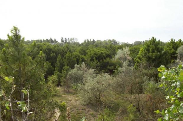 Area protetta