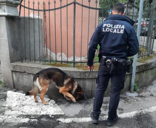 Polizia locale venezia