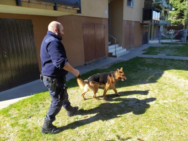 Polizia locale