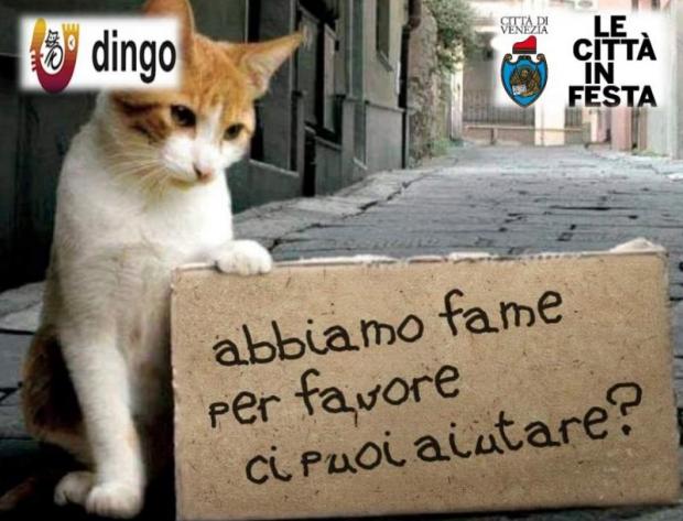 gatto regge con la zampa un cartello con scritto "Abbiamo fame. Per favore, puoi aiutarci?"
