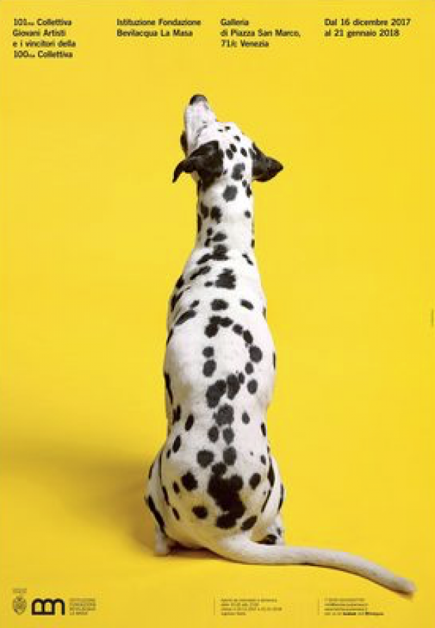 Cane dalmata
