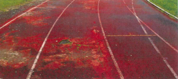 Campo atletica
