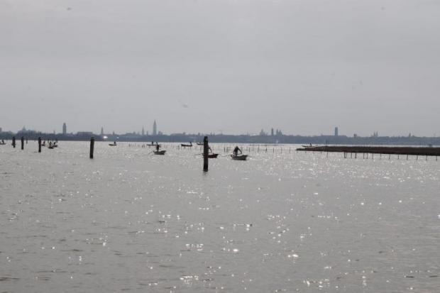 Regata alla Valesana