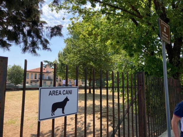 area cani