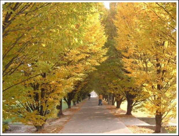 Parco Albanese