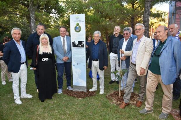 Albero fico giardino palazzo cinema
