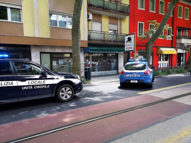 automobili della Polizia locale