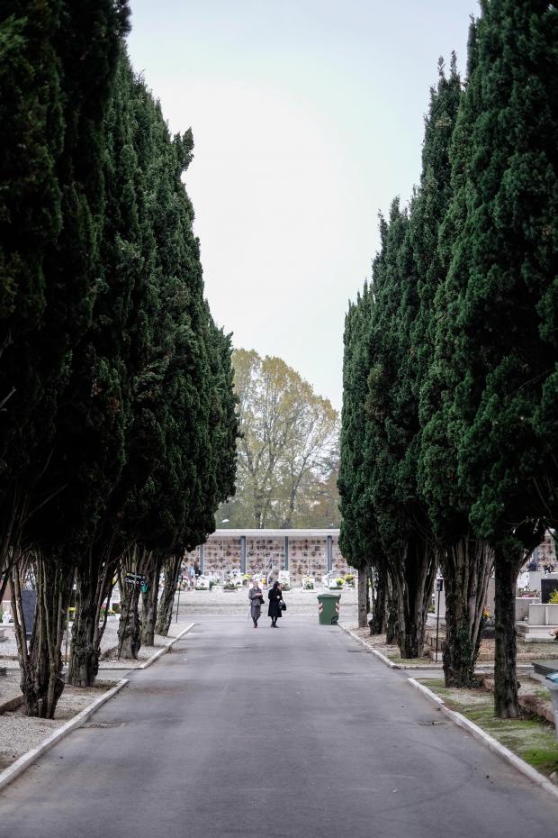 cipressi al cimitero