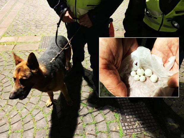 La droga sequestrata