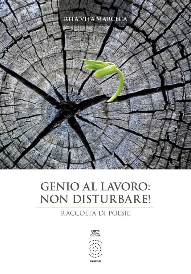 copertina libro Genio al lavoro non disturbare copertina libro Genio al lavoro non disturbare