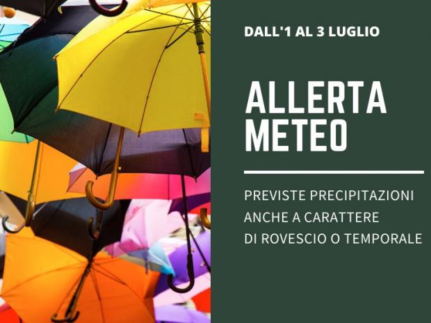 Grafica allerta meteo