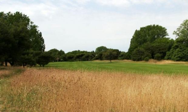 Immagine del Circolo Golf degli Alberoni Immagine del Circolo Golf degli Alberoni
