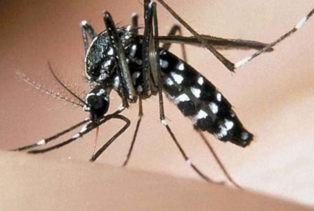 West Nile Virus