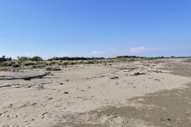 immagine della spiaggia degli Alberoni immagine della spiaggia degli Alberoni