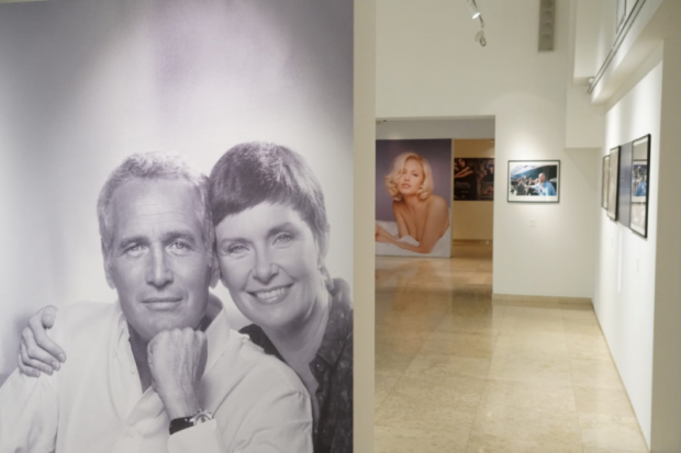 La mostra