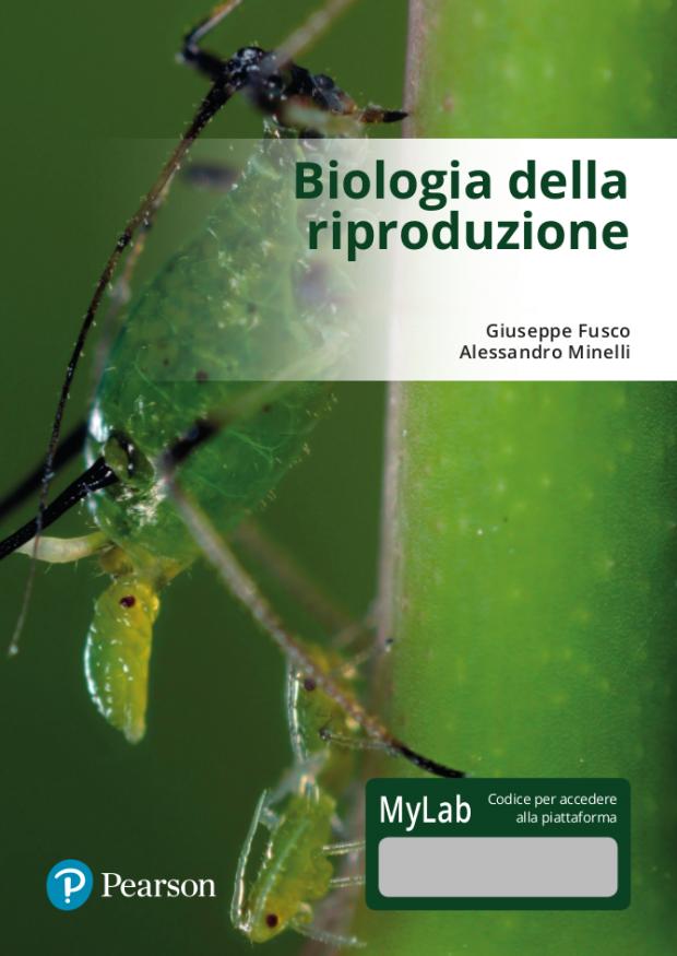 locandina evento immagine della locandina