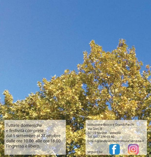 particolare della locandina