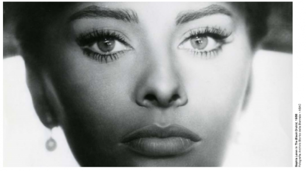 Sofia Loren foto dalla mostra - particolare