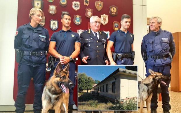 Unità cinofile della Polizia locale