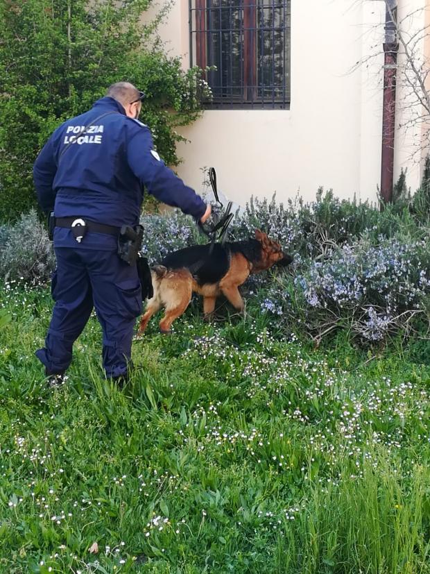 I controlli della nuova unità cinofila della Polizia Locale