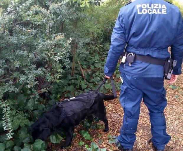 Operatore PM con cane antidroga