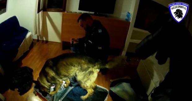 La perquisizione della Polizia locale