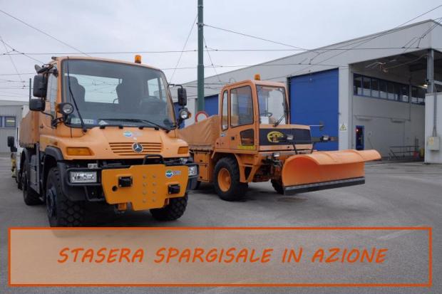 Spargisale