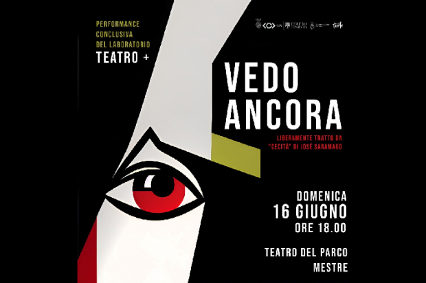 grafica grafica