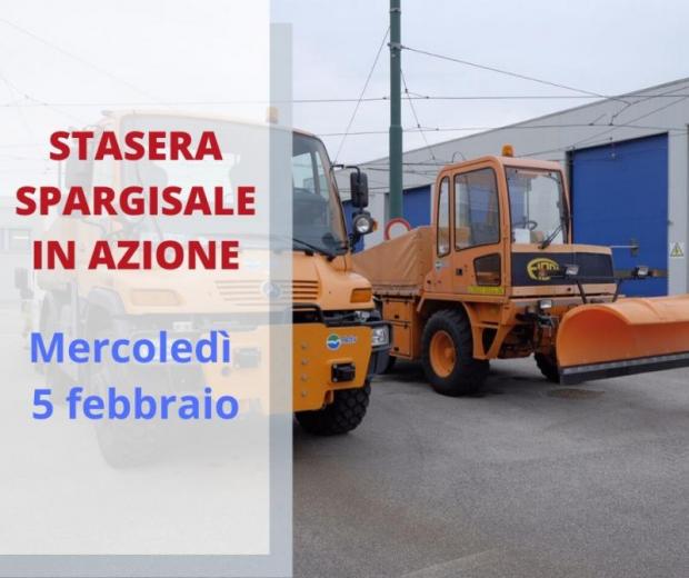 Immagine spargisale