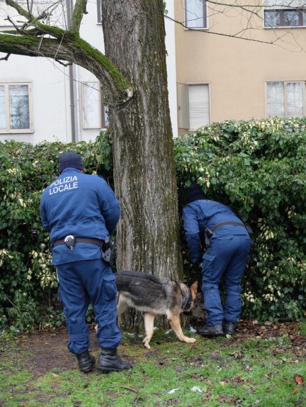 una operazione antidroga