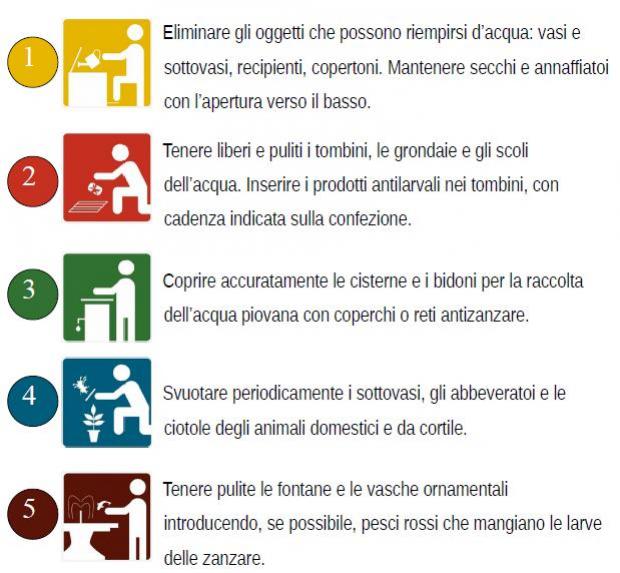 cinque "buone azioni" per contrastare la proliferazione delle zanzare